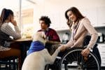 Happy businesswoman in wheelchair having fun with service dog who is giving her paw - can i bring my service dog to work concept